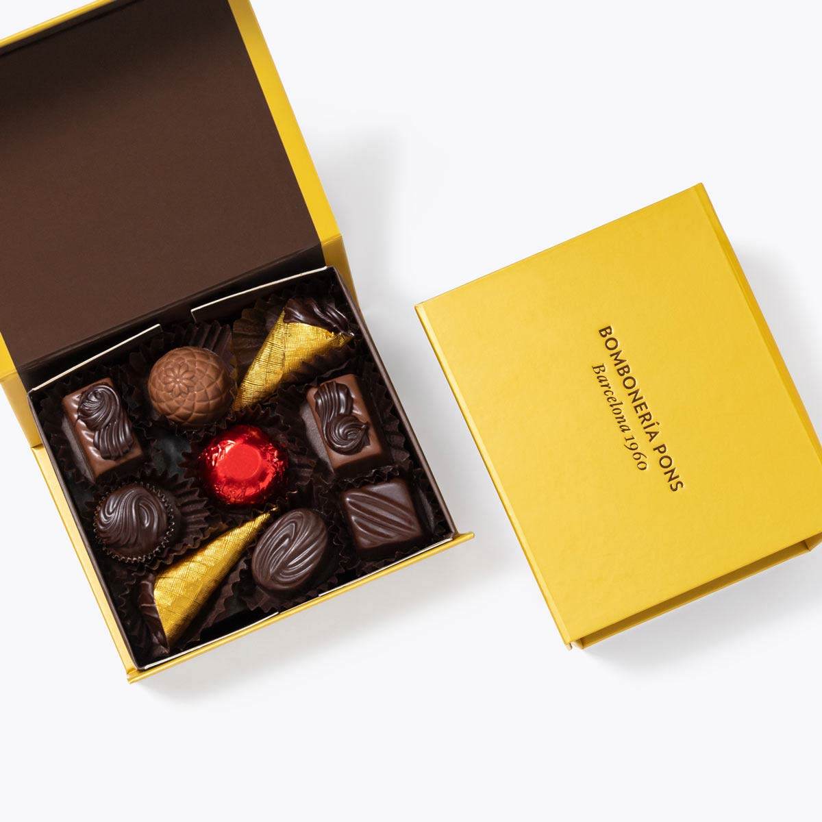 Miniatura 1